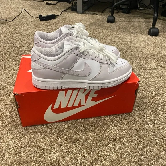 Venice Nike Dunks